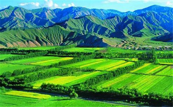 土壤墑情自動監測設備