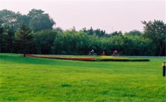 網(wǎng)絡(luò)化空氣監(jiān)測(cè)站監(jiān)測(cè)哪些參數(shù)?